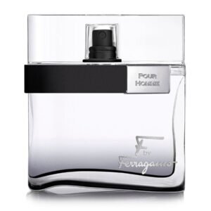 Salvatore Ferragamo F Pour Homme Black Eau De Toilette 100ml For Men ( ORIGINAL TESTER PACK )